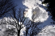 24th Apr 2011 - Spring Clouds