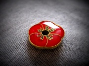 25th Apr 2011 - ANZAC Day - Lest We Forget