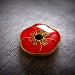 ANZAC Day - Lest We Forget by mozette