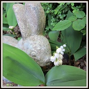 25th Apr 2011 - Rabbit Meets Lily of the Valley