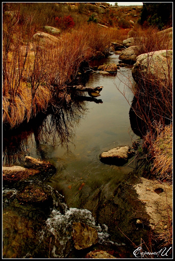 Cherry Creek by exposure4u