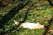 24th Apr 2011 - Fairy Bedspread