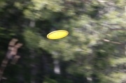 25th Apr 2011 - 365-UFO IMG_5710