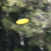 365-UFO IMG_5710 by annelis