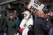 25th Apr 2011 - The Earth Lovin Rabbit!