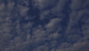 26th Apr 2011 - Fluffy clouds