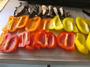 26th Apr 2011 - mmm, peppers