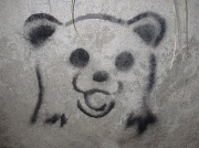 26th Apr 2011 - Panda