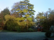 27th Apr 2011 - sunshine shadows and frost