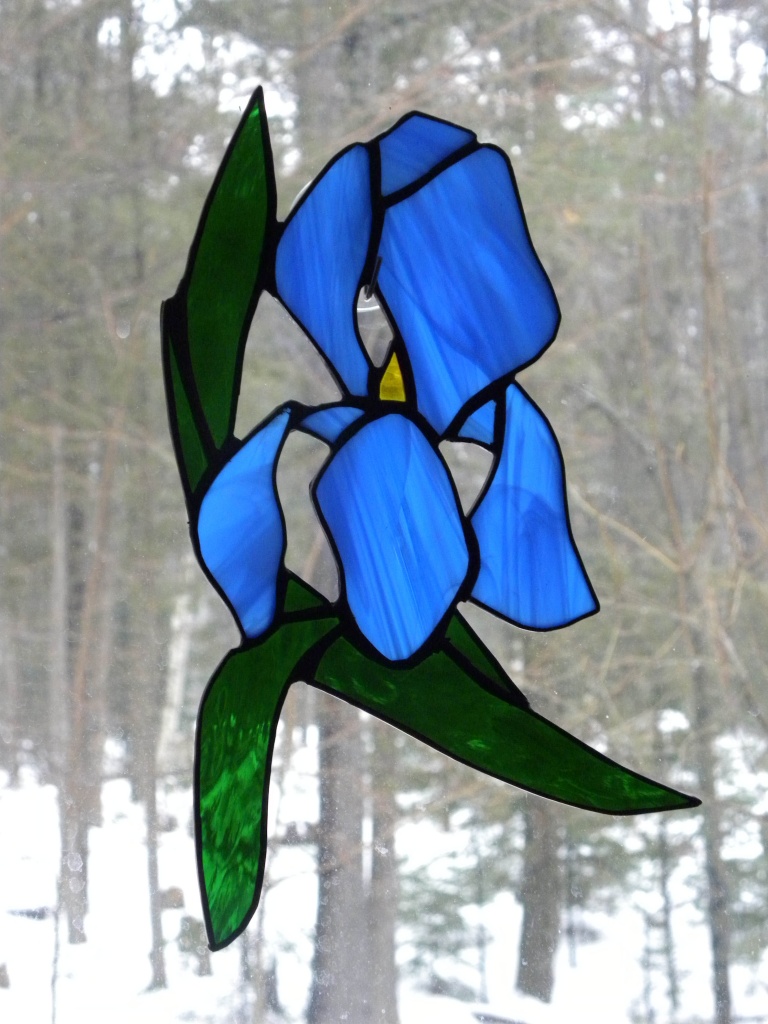 Blue Iris by sunnygreenwood