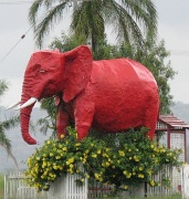 29th Mar 2010 - Red Elephant