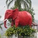 Red Elephant by loey5150
