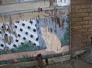 26th Apr 2011 - Mural cat
