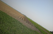 28th Apr 2011 - Same field , other angle