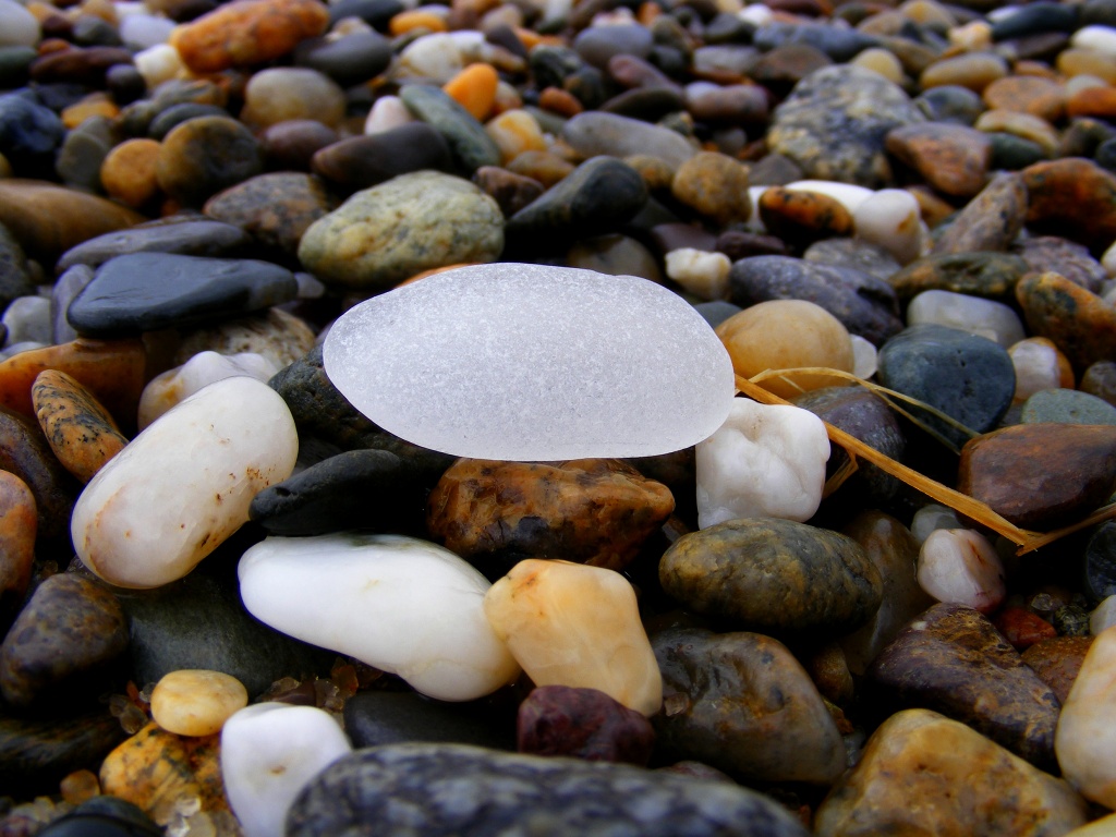 Beach Glass in Provincetown by lauriehiggins