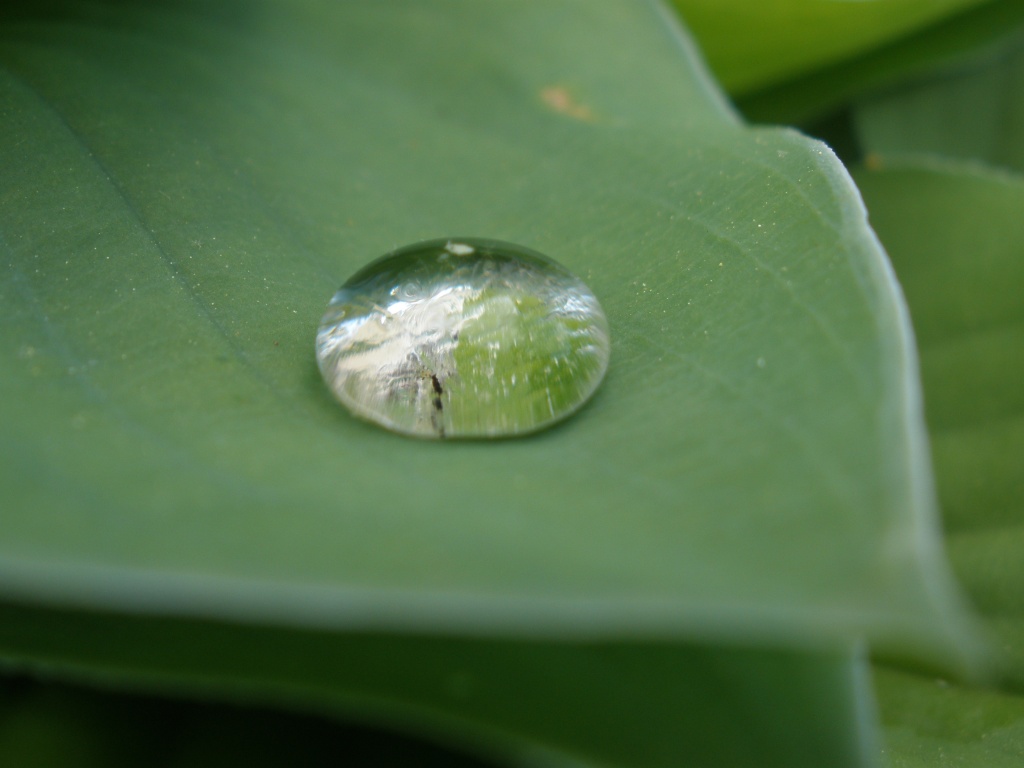 Water Bead Droplet by kdrinkie