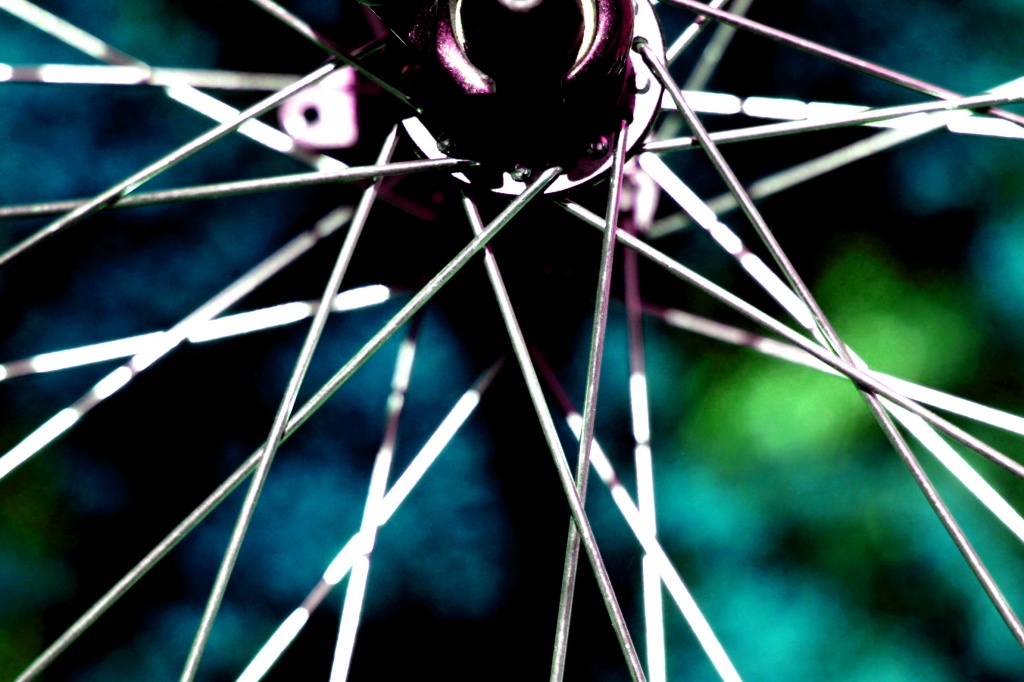 Spokes by lisabell