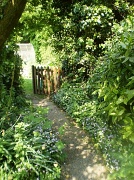 30th Apr 2011 - Leading you up the garden path .....