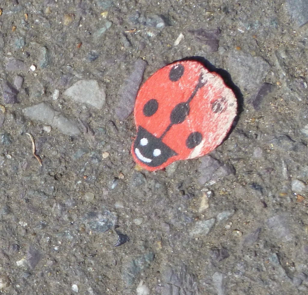 Cheerful ladybird by dulciknit