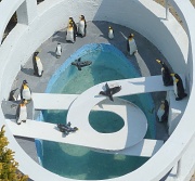 30th Apr 2011 - Penguin pool