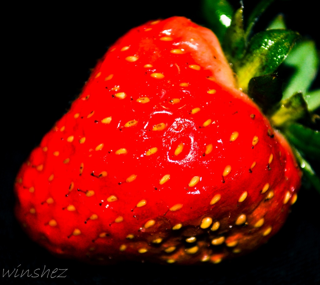 strawberry by winshez