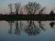 30th Apr 2011 - Mirror Lake