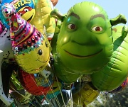 30th Apr 2011 - Shrek