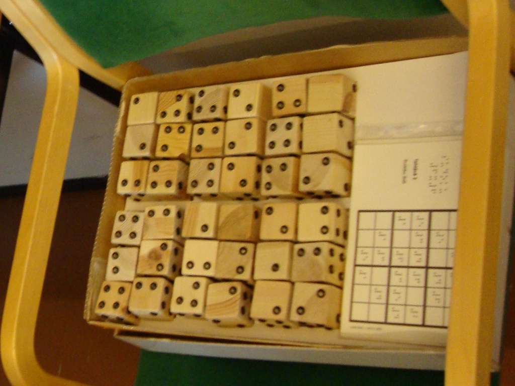 365-DSC01577 Sudoku for the blind by annelis