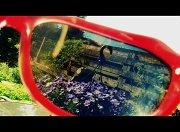 1st May 2011 - Sunglasses to hide behind