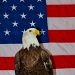 Bald Eagle and Flag by twofunlabs