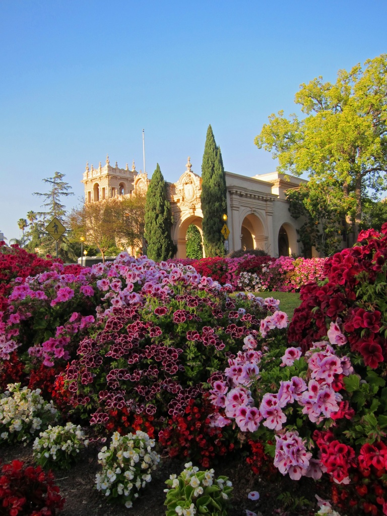 Beautiful Balboa Park by shin