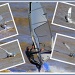 Wind Surfer Collage by judithdeacon