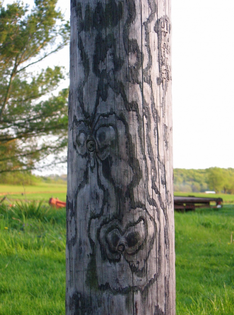 Day 98 Telephone Pole or Totem Pole?  by spiritualstatic