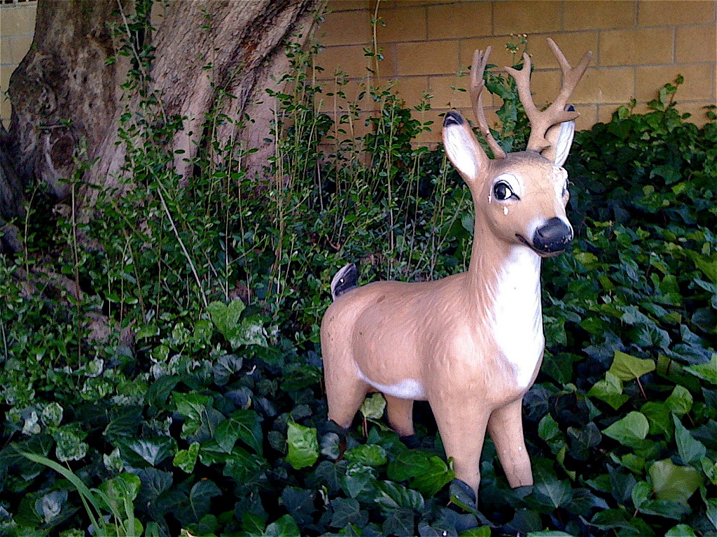 Stalking The Wily Ornamental Deer by bradsworld