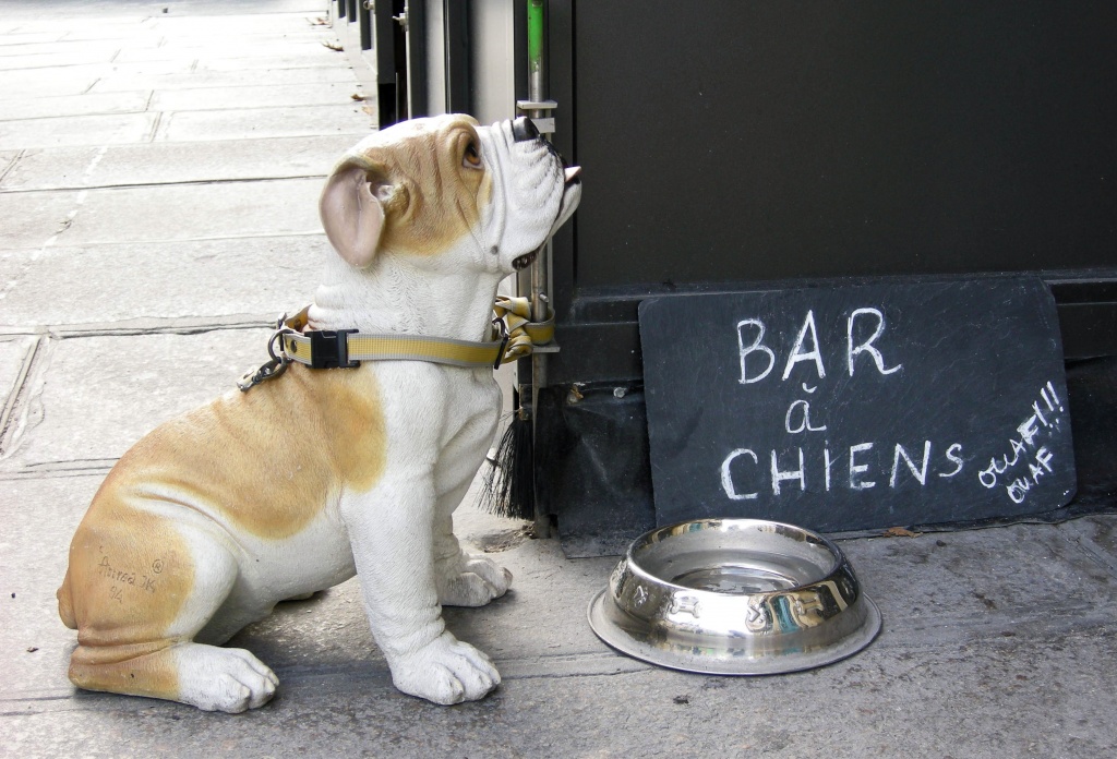 Just for fun: Dog's bar (with a fake dog) by parisouailleurs