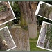 Trimley Churchyard - Life goes on. by judithdeacon