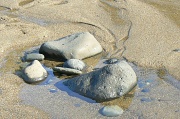 7th May 2011 - beach texture