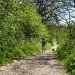 May Day Walk with Ruby by phil_howcroft