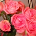 Roses at work by kchuk