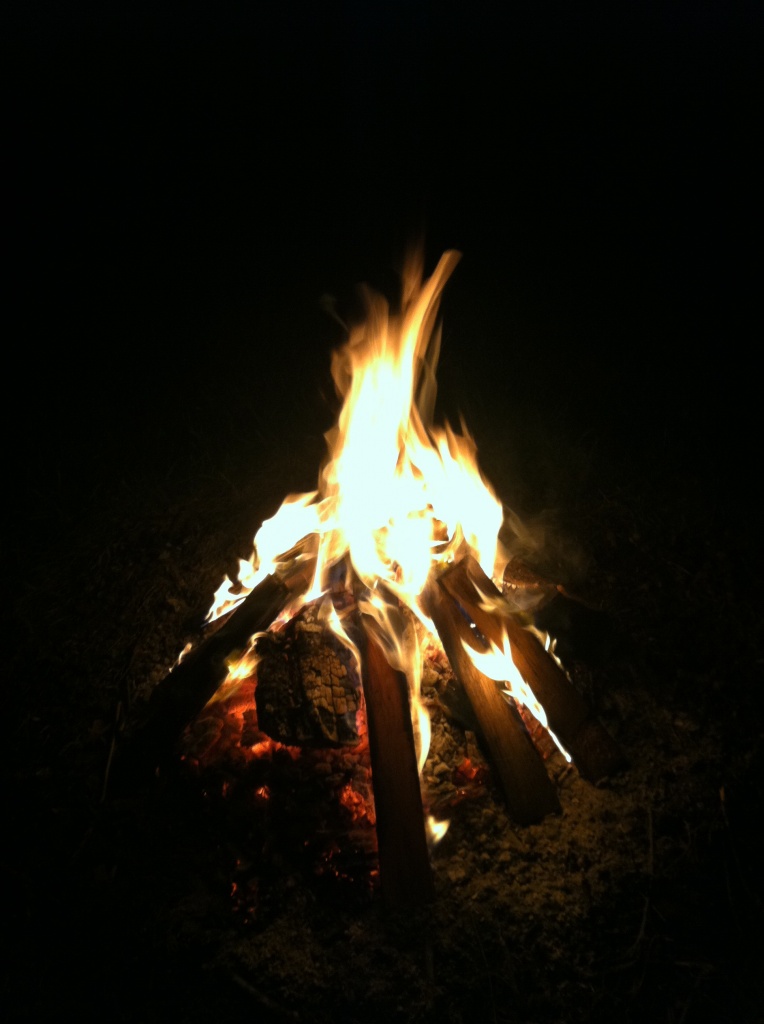 First Bonfire Of The Summer!!!! by labpotter