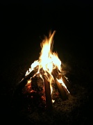 6th May 2011 - First Bonfire Of The Summer!!!!