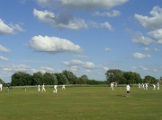 8th May 2011 - Cricket on the green
