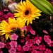 Mother's Day Bouquet by dakotakid35