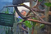8th May 2011 - There Are Currently No Animals In This Enclosure!