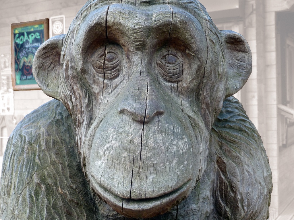 Go ape!! by dulciknit