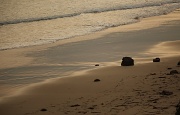9th May 2011 - beach at golden hour