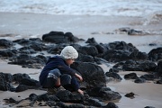 7th May 2011 - Callum fossicking in the rock pools