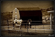 10th May 2011 - The Ranch