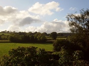 10th May 2011 - The view from our window.