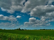 10th May 2011 - Sky over Acle Marshes